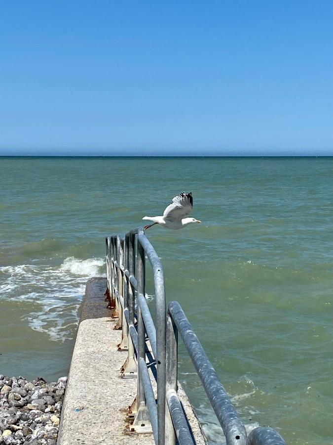 Les Cygnes De Criel-Sur-Mer Criel-sur-Mer Exterior foto
